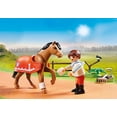 thumbnail image 3 of Playmobil Country: Poni Coleccionable Connemara 70516 Playmobil 70516, 3 of 3