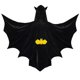 thumbnail image 1 of Mystical Kids Bat Cloak for Halloween Funny Hooded Cape Cosplay Costume Dress Up Accessories for Costume Parites Event Black, 1 of 5