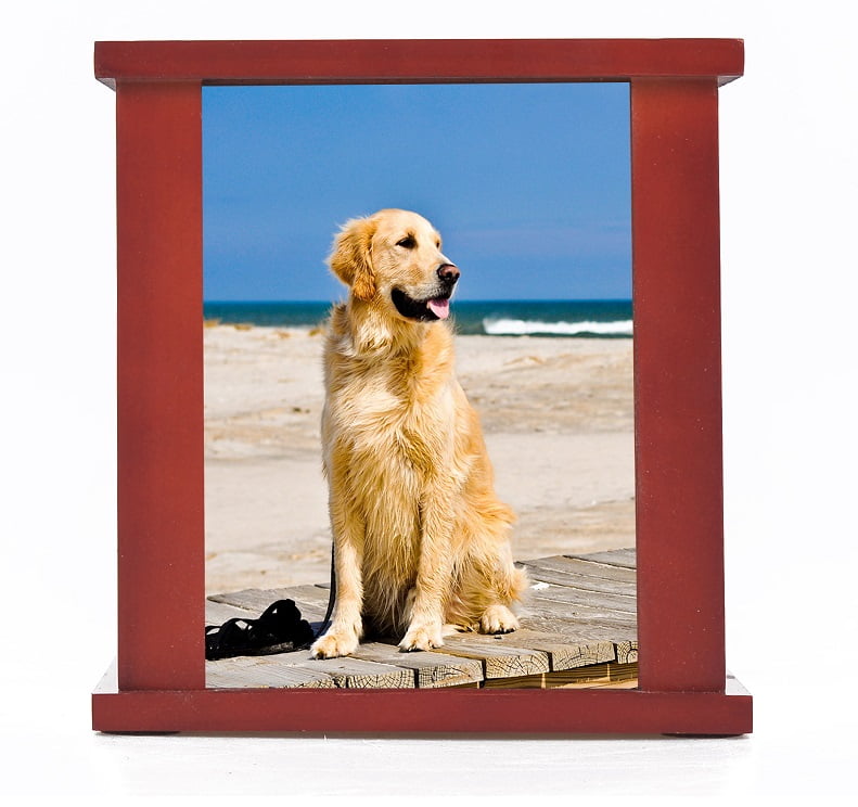 memorial pet cremation