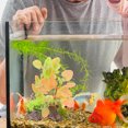 thumbnail image 2 of YSNOOWE 2Pcs Artificial Water Plants Realistic Design Water Environment Friendly Aquarium Owners, 2 of 8