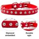 thumbnail image 3 of Collar para perros ancho y grueso con remaches de cuero. Adecuado para cuellos de 14" a 17", variedad media., 3 of 5