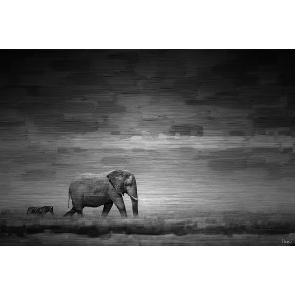 Parvez Taj  'Elephant' Painting Print on Brushed Aluminum 45 x 30