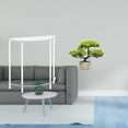 thumbnail image 2 of Mesita de noche de acrílico,Mesa auxiliar de acrílico transparente Mesa auxiliar transparente en capas,Mesa pequeña de acrílico,mesita de noche pequeña,compacta,Árbol bonsái, 2 of 8