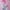 Pink, variant on Mattel Girls' Barbie Fantasy Mermaid Princess Sleep Pajama Set Shorts