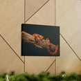thumbnail image 6 of Corn Snake Hunting Corn Snake on Hunt Print Animal Wall Art Wildlife Canvas Prints Wall Art Ready to Hang Unframed, 6 of 18