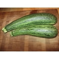 thumbnail image 3 of 50 COCOZELLE di Napoli SQUASH Italian Zucchini Cucurbita Pepo Vegetable Seeds, 3 of 10