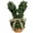 17" Artificial Bunny Topiary in Woven Basket, variant on 3D Printed Animal Egg with Articulated Bunny Inside, Flexible Surprise Bunny Egg, Holiday Basket Stuffers, Christmas Stocking Fillers, Easter Novelty Gifts, Unique 3D Printing Collectible Ornament