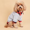 thumbnail image 2 of CNKOO 1 Pce Vêtements Décontractés pour Animaux Faux Deux-Pièces Chandail en Molleton pour Chien Chemise à Carreaux Rouges Vêtements pour Chien pour l'Hiver, 2 of 6
