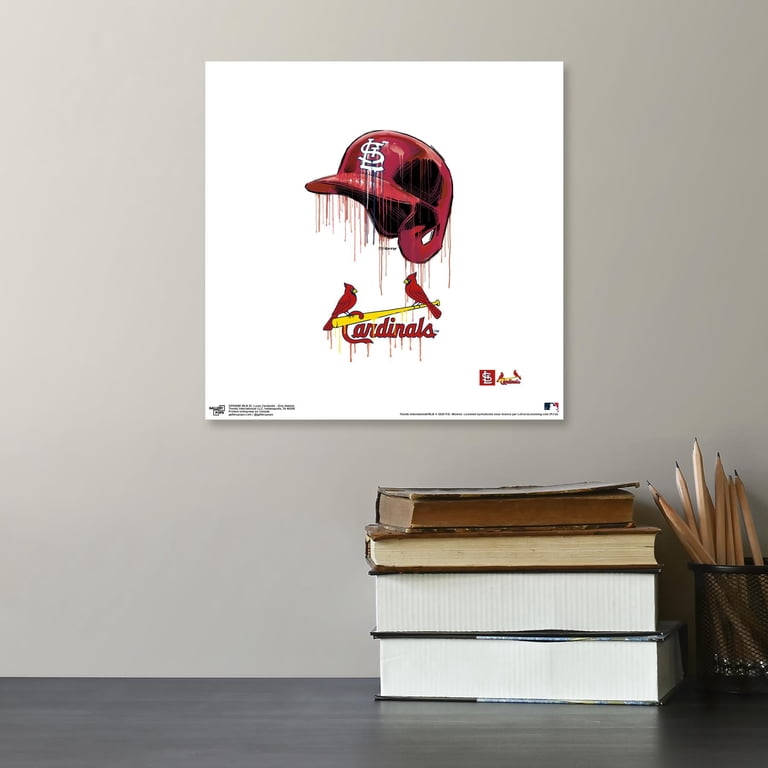 St. Louis Cardinals Light Switch Wall Plate – Sports Decor, Combination Outlet Cover