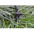 thumbnail image 5 of 100 Pcs Hose Holder Ground Fixing For "C" Stakes Fixed Rod Support For Irrigation Hose And Garden Hose Pipe, 5 of 5