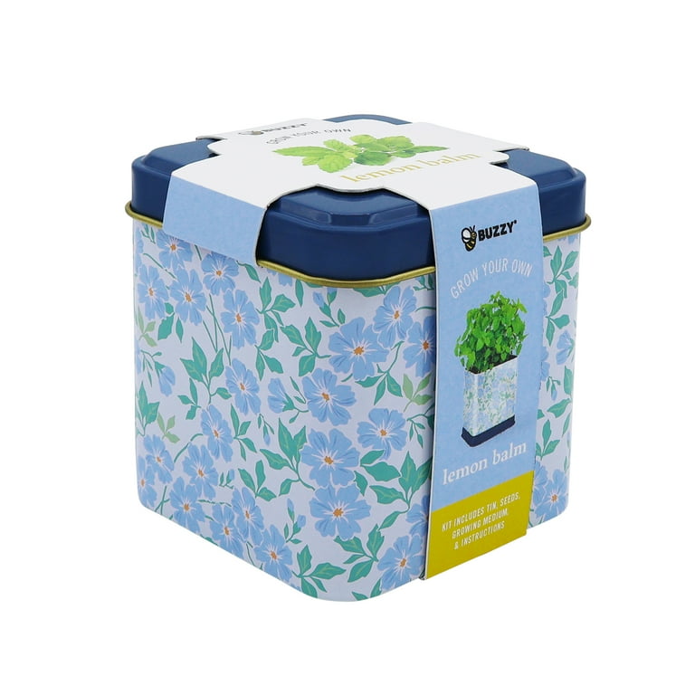 Buzzy Lemon Balm Herb Grow Kit with Decorative Floral Tin