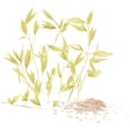 thumbnail image 3 of Garnier Oat Delicacy RINSE-OUT Mask Treatment with Oat Milk & Rice CREAM<br>EXTRACTS, Paraben-Free, 3 of 3