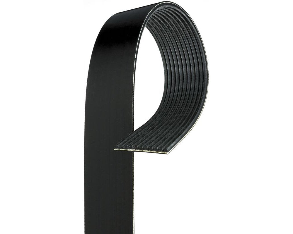 walmart serpentine belt