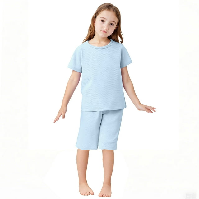 Girls 2 Piece Outfits Summer Clothes Ruffle Short Sleeve Shirts Top and Solid Color Shorts Set Blue 2-3 Years