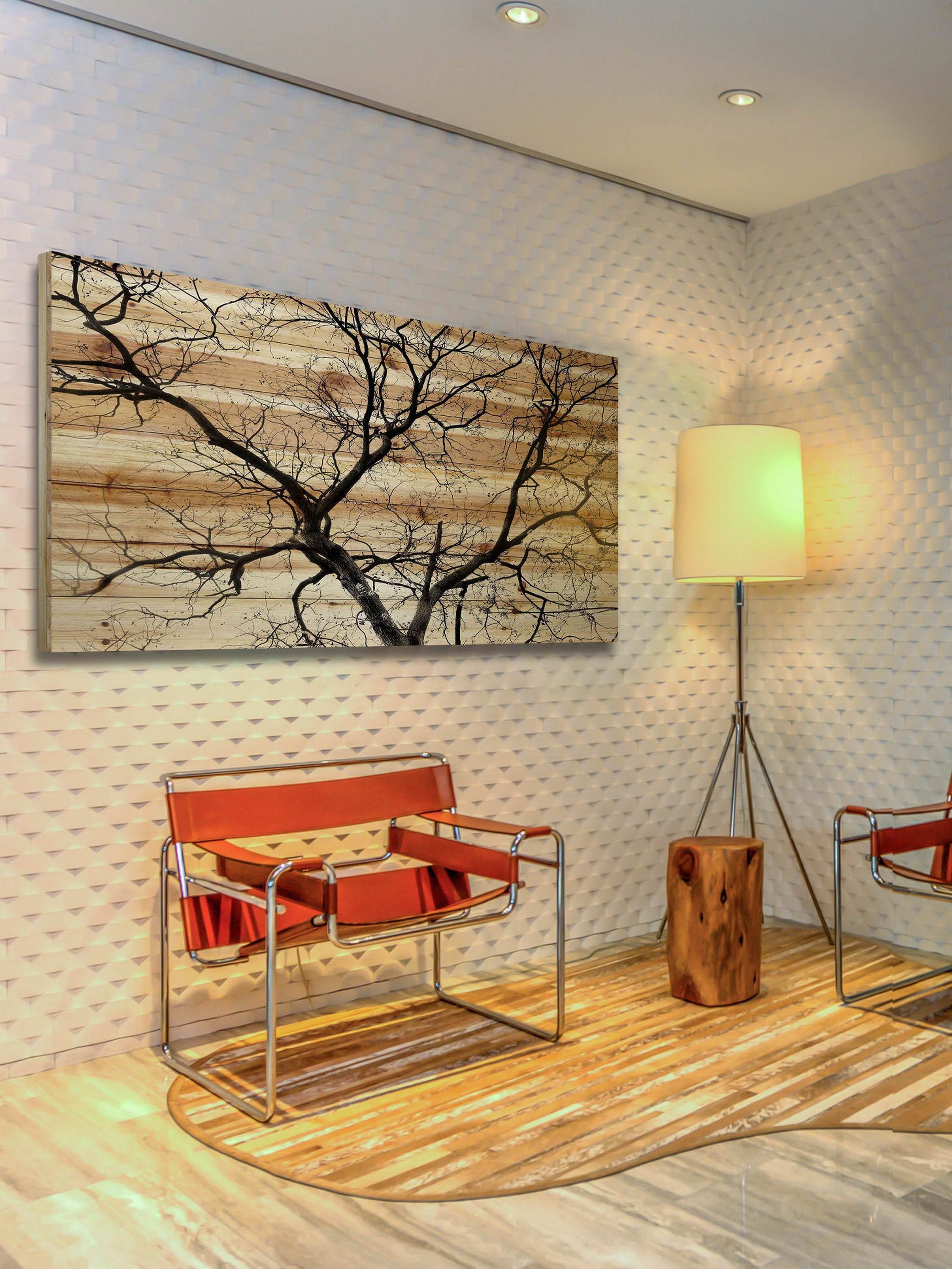 Parvez Taj Branching Out Pinewood Wall Art