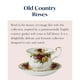 thumbnail image 5 of Set de taza de té y platillo Royal Albert Old Country Roses 190 ml, 5 of 7