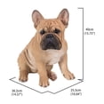 thumbnail image 4 of Hi-Line Gift 87765-B French Bulldog Squatting Statue, 4 of 5