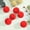 Red, variant on Qonioi Flocked Christmas Tree Ornaments, 6 Pcs Velvet Christmas Balls with Hanging Rope, 2.4 Inch Plastic Xmas Tree Decorations for Fireplace Wall, White