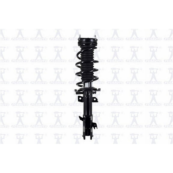 Suspension Strut and Coil Spring Assembly