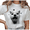 White-3, variant on Women's Funny Wizard Cat Fat Cat Meme Graphic Comfortable T Shirt Casual Short Sleeve Round Neck Top Black S-5XL