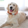 thumbnail image 3 of HEVIRGO Pet Collar Breathable Reflective Lightweight Nicely Designed Dog Leash Breakaway with Bell for Training, 3 of 11