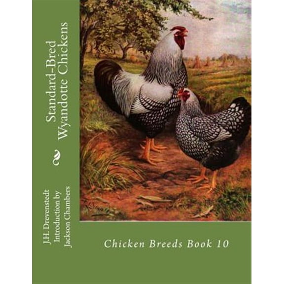 Standard-bred Wyandotte Chickens