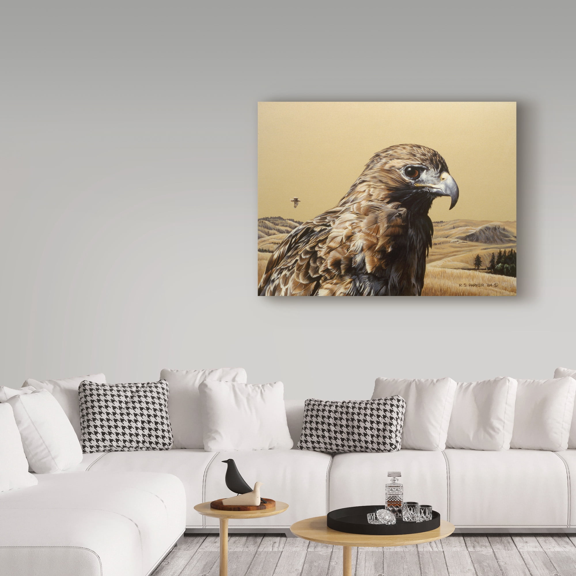 Trademark Fine Art 'Red Tailed Hawk' Canvas Art by Ron Parker