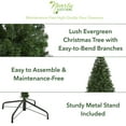thumbnail image 3 of Nearly Natural 6' Pine Artificial Christmas Tree, Green, 3 of 8