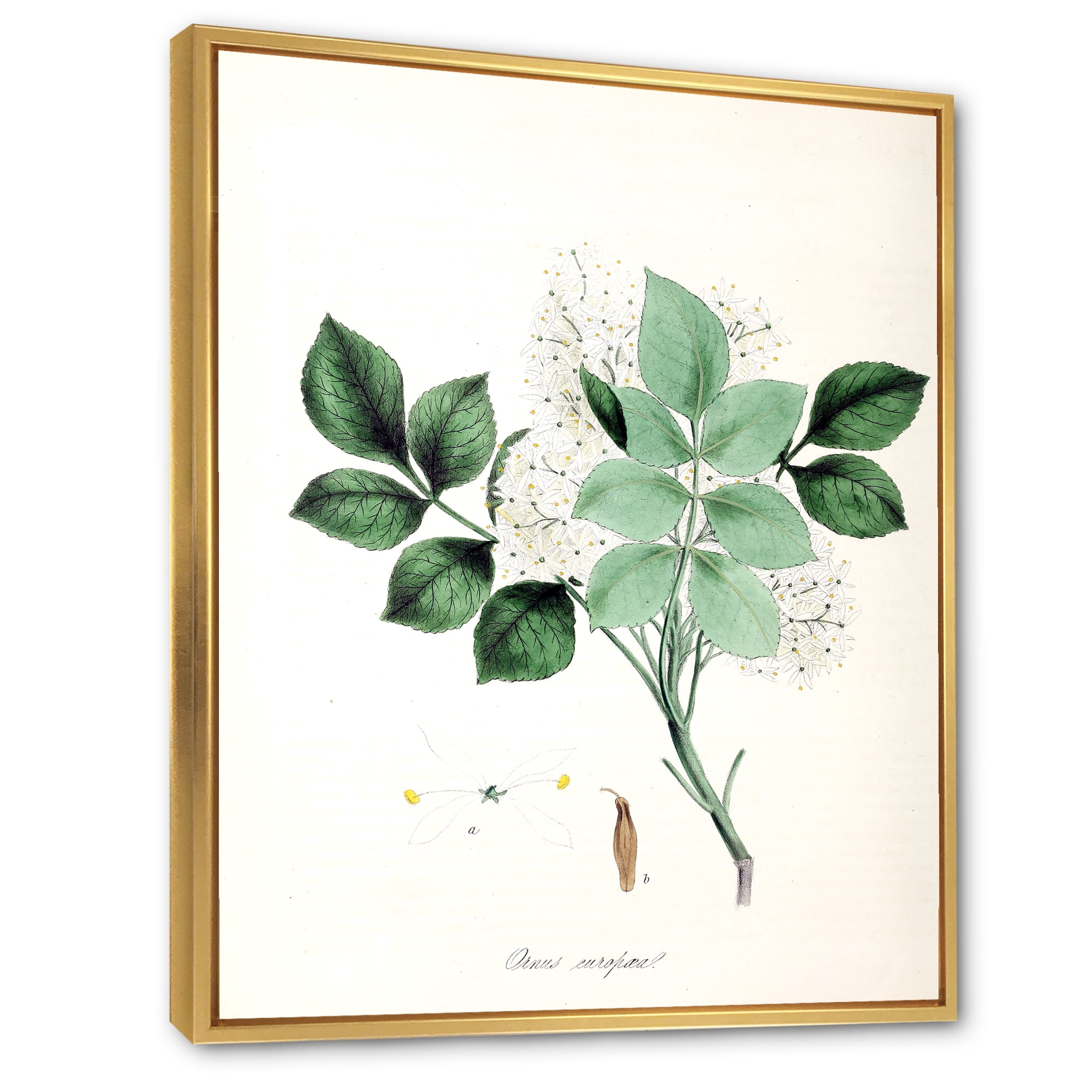 Designart 'Ancient Blossoming Flower IV' Farmhouse Framed Canvas Wall Art Print