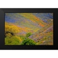 thumbnail image 2 of Peterson, Lee 14x11 Black Modern Framed Museum Art Print Titled - Wildflower Hills II, 2 of 5