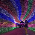 thumbnail image 3 of Venta al por mayor 1,5x1,5 M/2x 3M/4x6M8*10M guirnalda ventana cortina LED red malla Navidad guirnalda de luces boda fiesta vacaciones luz, 3 of 4