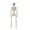 1PC, variant on QLUEWX 36" Halloween Skeleton Decor 1PC, Full Body Posable Joints Life Size Skeleton, Realistic Human Skeleton Prop with Movable Arms Legs for Haunted House Yard Porch Indoor Outdoor Halloween Decor