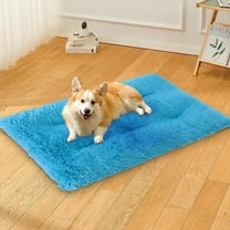 YZEGDCH Blankets Queen Size Durable, Lightweight, Extra Soft Blanket Home Luxury Anti-Static Fuzzy Soft Microfiber Throw Blanket, All Seasons Suitable