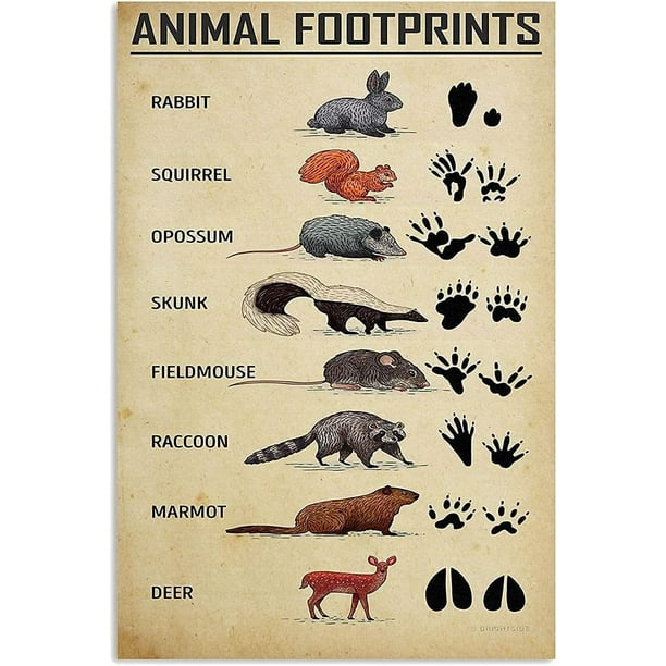 Hunting Knowledge Metal Signs Vintage Animal Footprints Wall Decor Plaque  Tin Posters Home Club Outdoor Cafe Garage Home Classroom School Diner 12x16  Inches 
