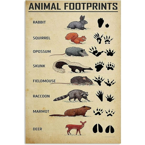 Hunting Knowledge Metal Signs Vintage Animal Footprints Wall Decor Plaque Tin Posters Home Club Outdoor Cafe Garage Home Classroom School Diner 12x16 Inches Hunting Knowledge Metal Signs Vintage Animal Footprints Wall Decor Plaque Tin Posters Home Club Outdoor Cafe Garage Home Classroom School Diner 12x16 Inches