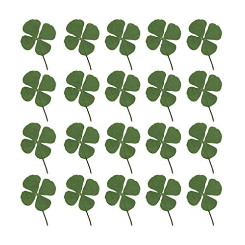 Healifty 48pcs Natural Real Pressed Dried Flowers Four Leaf Clover Leaf Plant For Christmas Diy Ornaments Resin Jewelry Art Craft Walmart Com Walmart Com