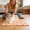 thumbnail image 3 of Self Cooling Gel Pad Small Medium Cats Cute Cartoon Pattern Summer Heat Relief Washable Pvc Material Kennel Couch Bed Travel, 3 of 6