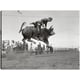 thumbnail image 1 of Cuadro Decorativo - Payaso de rodeo vintage, 1 of 3