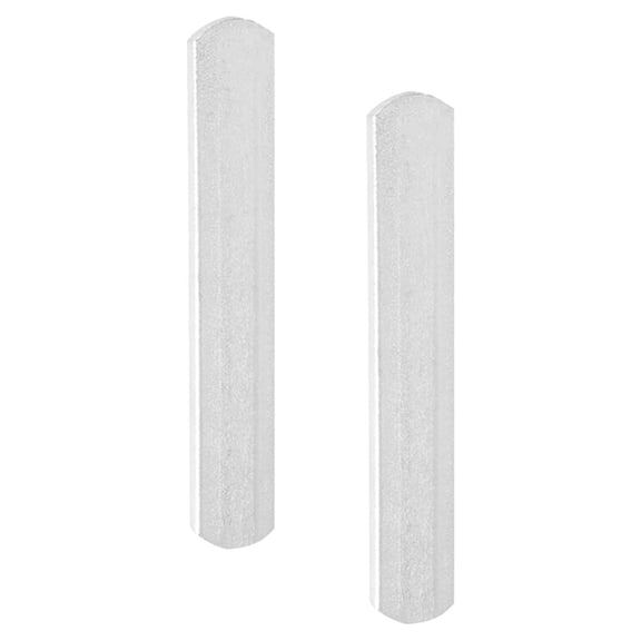TABLZONE 2Pcs Plated Silver Exercise Steel Plates for Bodybuilding Workout Weight Equipment