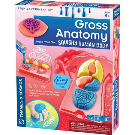UPC: 0814743014749 | Thames & Kosmos Gross Anatomy Make Your Own Squishy Human Body