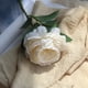 thumbnail image 3 of onlyliua Liquidación Rosas Artificiales Caseras Falsas para Novia, Boda, Fiesta, Decoración Del Hogar Wh, 3 of 3