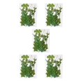 thumbnail image 2 of Bearachild Hoja seca natural DIY Arte hecho a mano Planta en relieve Hojas prensadas Decoración Hogar Decorativo para tarjetas de boda de resina Type2 NO2 Bearachild CBP163997, 2 of 4