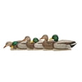 thumbnail image 1 of Avian X Topflight Realistic Floating Rugged Fusion Mallard Decoy Set, 6 Pack, 1 of 12