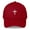 Cranberry, variant on The Orion | P-3 Orion Embroidered Dad Hat