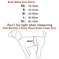 thumbnail image 3 of XS Paquete de 3 pañales para perros machos, bandas lavables para el vientre del cachorro, superabsorbentes y cómodas, 3 of 5