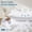 16x24 inch, variant on 18x18 Throw Pillow Inserts Set of 2, Square Couch Pillows with Down Alternative Filling, Hotel Quality, Machine Washable, Living Room and Bedroom Decor