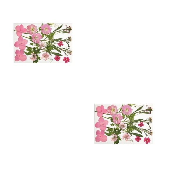 Yuarrent Calcomanía de flores secas, decoración artesanal, rellenos artesanales, accesorios de relleno Type4 NO4