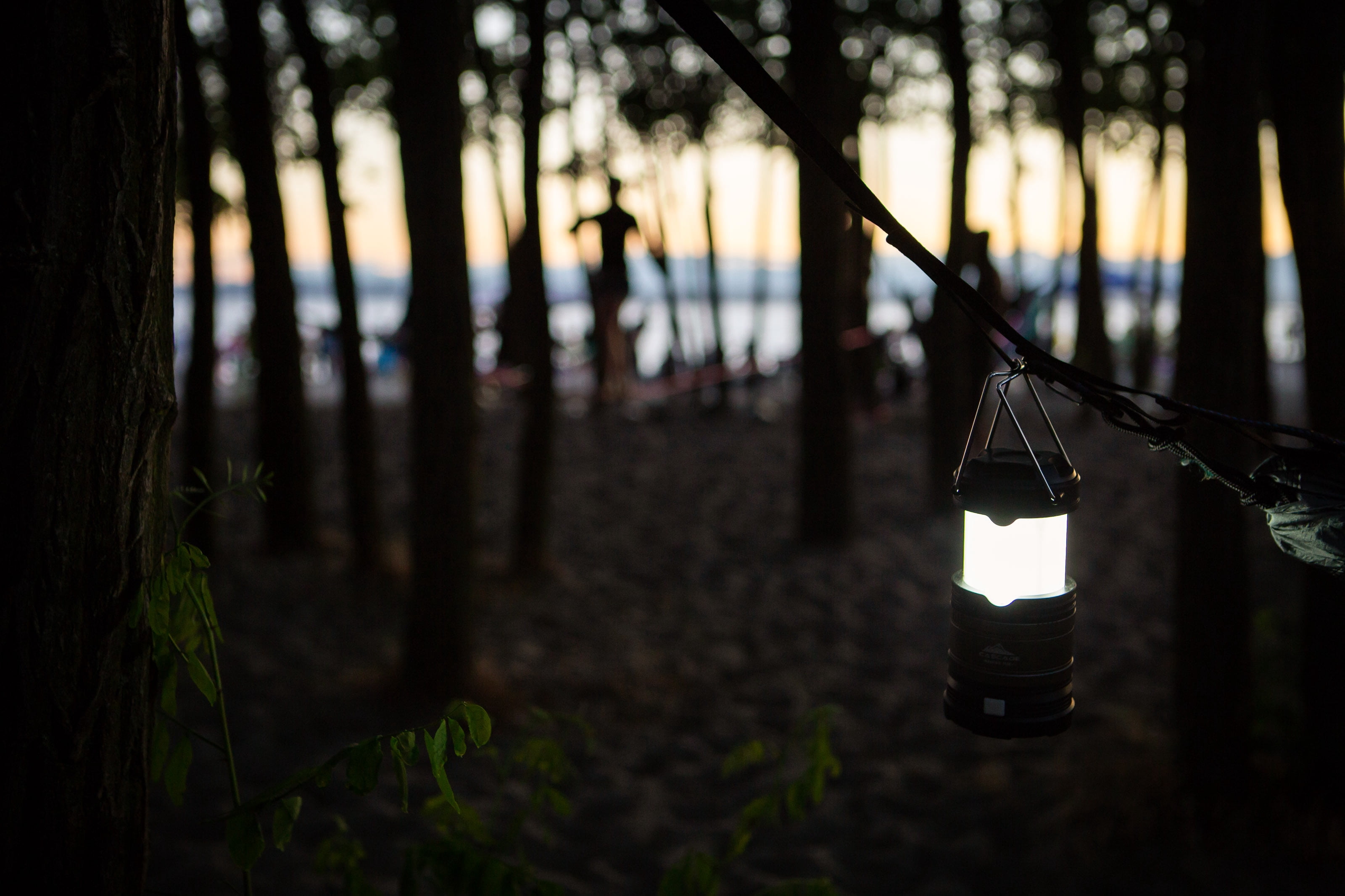 Cascade Mountain Tech 250 Lumen SMD Pop up Camp Lanterns - 3-Pk, Batteries Included, 8.6 Oz Multicolor