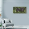 thumbnail image 3 of Trademark Fine Art 'Bosom Buddies' Canvas Art by Michael Jackson, 3 of 3
