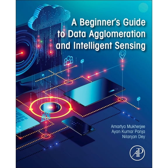 A Beginner's Guide to Data Agglomeration and Intelligent Sensing, (Paperback)